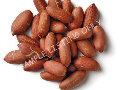 Raw DR Congo Groundnuts